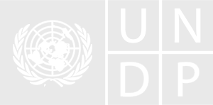 undp-logo-5682674d5c-seeklogo.com_